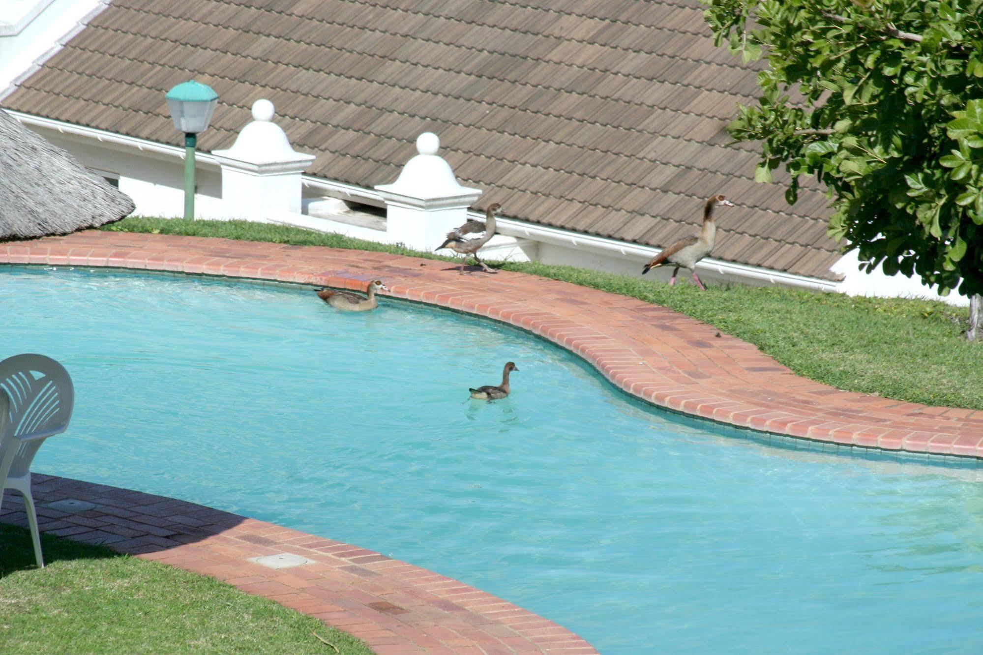The Estuary Hotel & Spa Port Edward Bagian luar foto